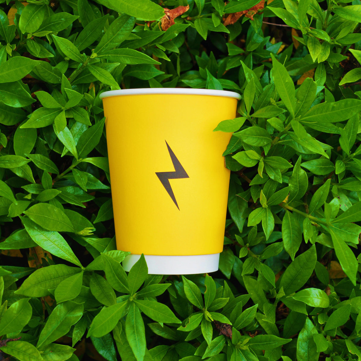 Best-Seller Custom 12oz Double Wall Cups - ecoaralon