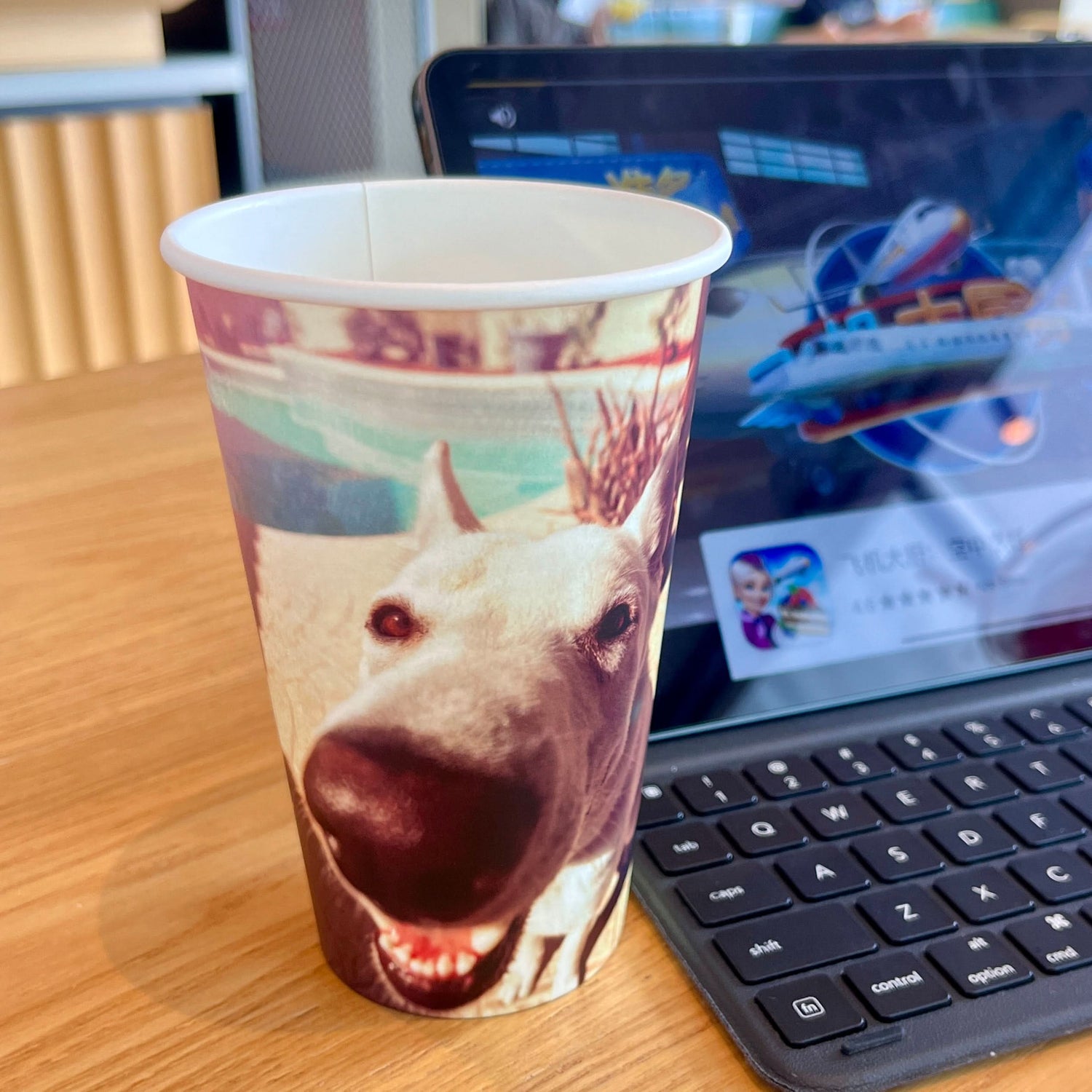 Sample Single wall Paper Cups