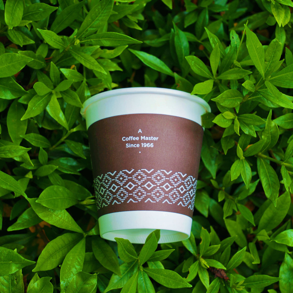 Best-Seller Custom 8oz Single Wall Cups - ecoaralon
